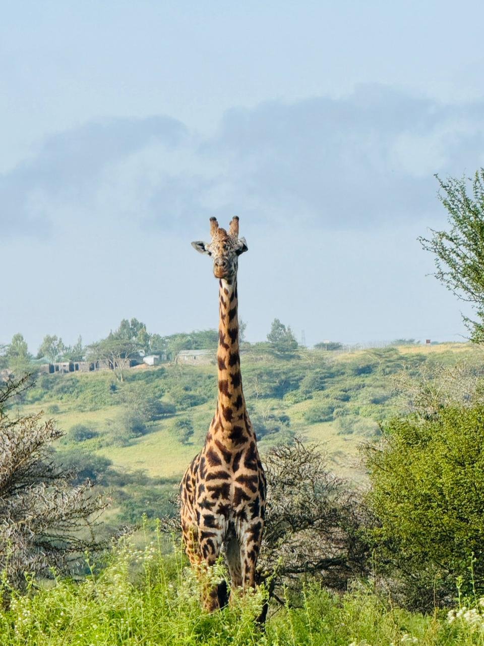 WhatsApp Image 2026 05 22 at 3.29.53 PM — Precious Ecostar Safaris