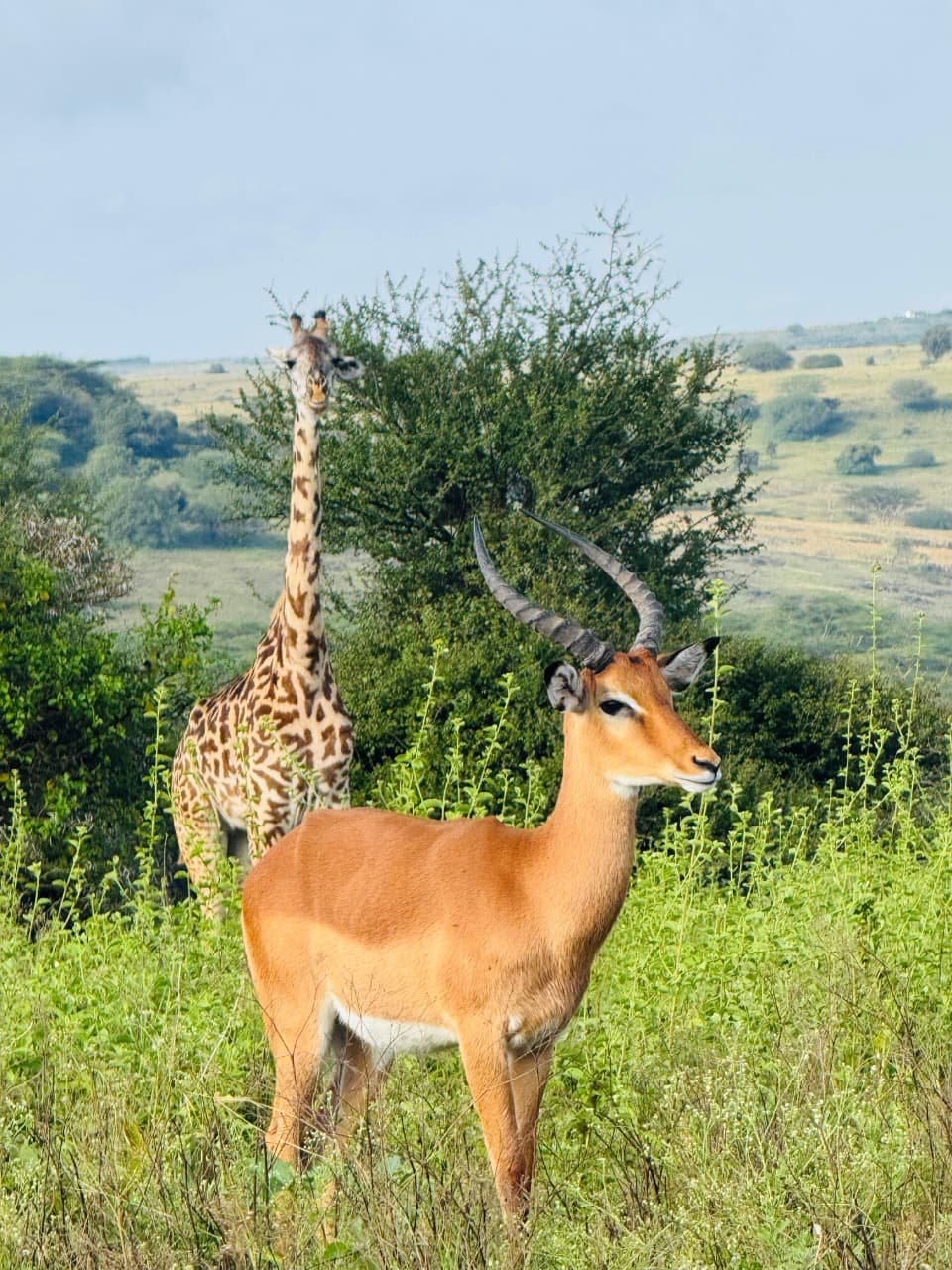 WhatsApp Image 2026 05 22 at 3.29.55 PM (2) — Precious Ecostar Safaris