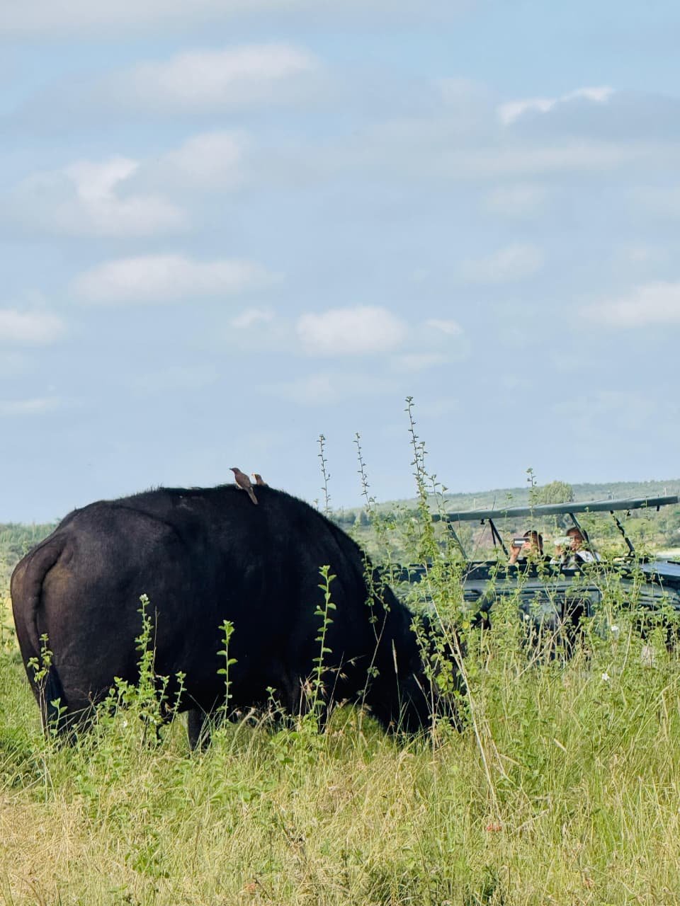 WhatsApp Image 2026 05 22 at 3.29.55 PM — Precious Ecostar Safaris