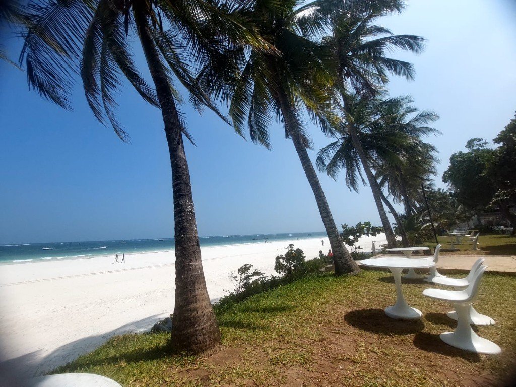 Mombasa coast and palm-lined beach