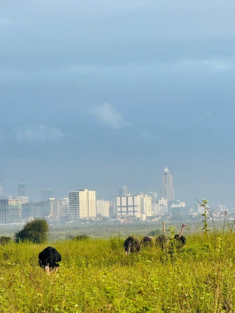 Safari jeep with Nairobi skyline at Nairobi National Park